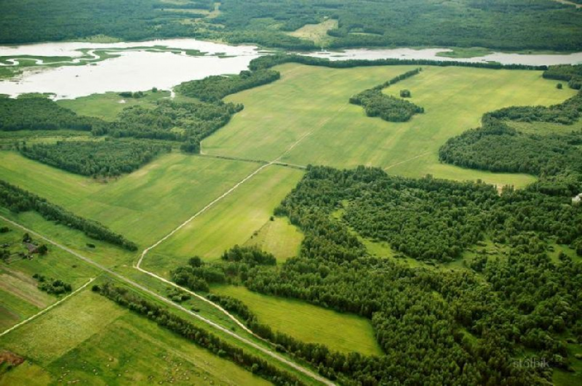 На 10 миллионов гектаров увеличится площадь земель для ДВГ.jpg
