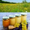 Как определяют сорт мёда