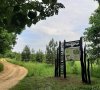 Как я делала свою первую грядку
