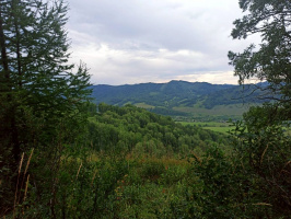 Поселение Новая Жизнь