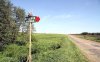Что такое "Гостевой день" в поселении