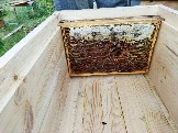 Переселение пчёлок в новый улик...