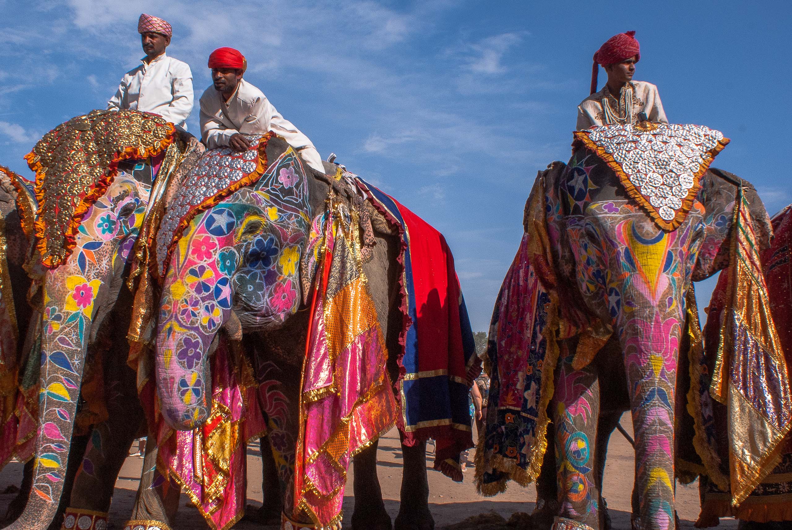 Индич. Фестиваль слонов — Джайпур, Индия. Индия картинки. Индийская культура. Красивая Индия.