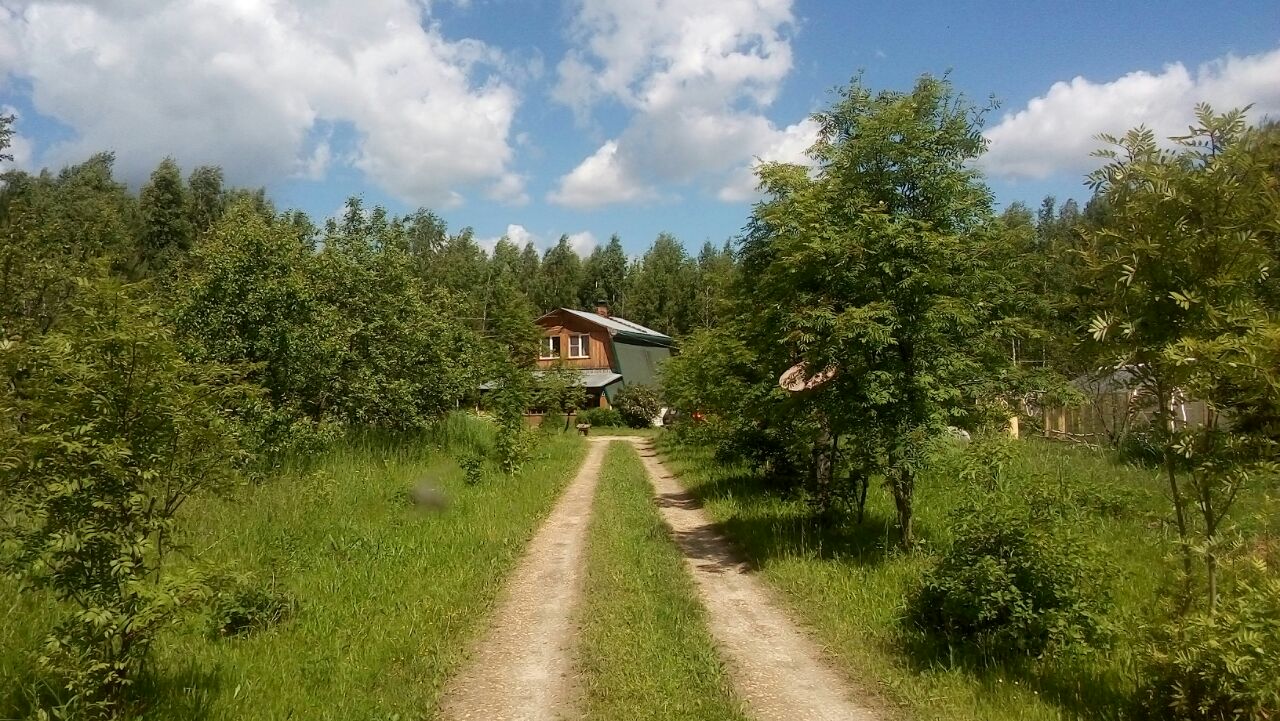 Поселение родное. Поселение родное Владимирская область. Поселение родовых поместий родное Владимирская область. Поселение Ладное Владимирская область. Поселение заветное Владимирская область.