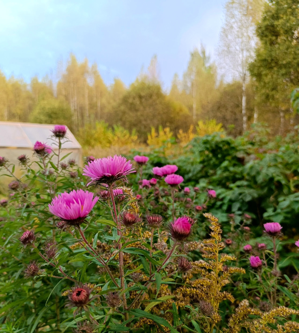 Блага, которые несëт родовое поместье окружающим (1).jpg
