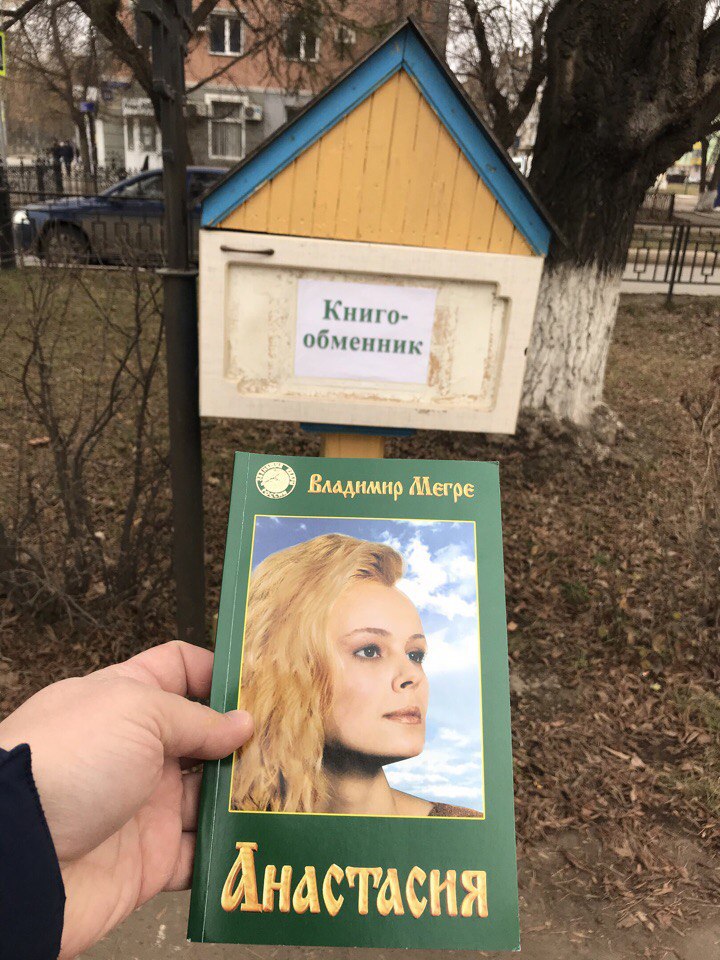 Звенящий кедр мегре