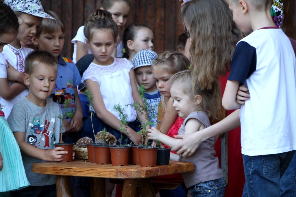 Проект Кедры детям Украины (6).jpg