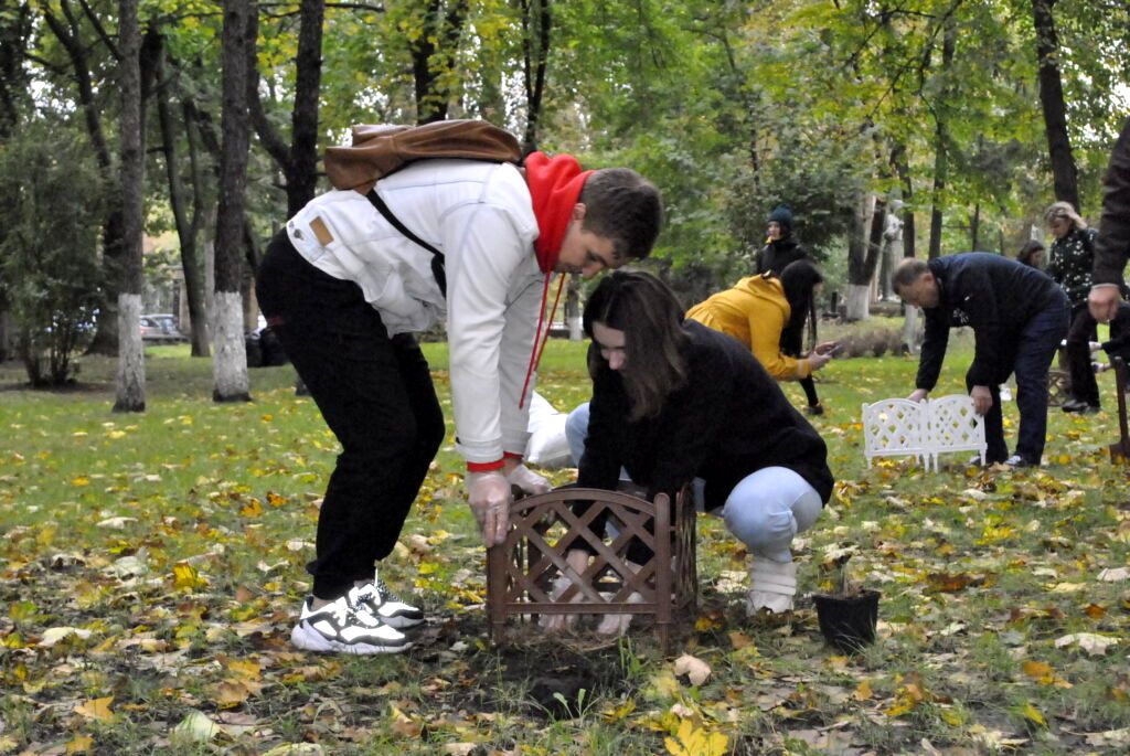 50 сибирских кедров высажено на территории НМУ в Киеве (4).jpg