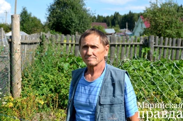 Пенсионер из Марий Эл выращивает в своём огороде рощу кедров 2.jpg
