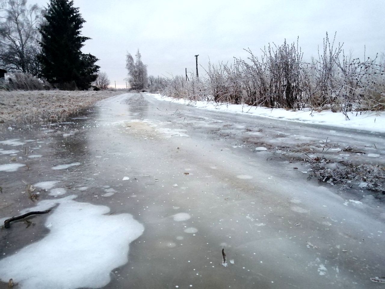 Необычная зима – взгляд из поселения КалиновецЪ (2).jpg