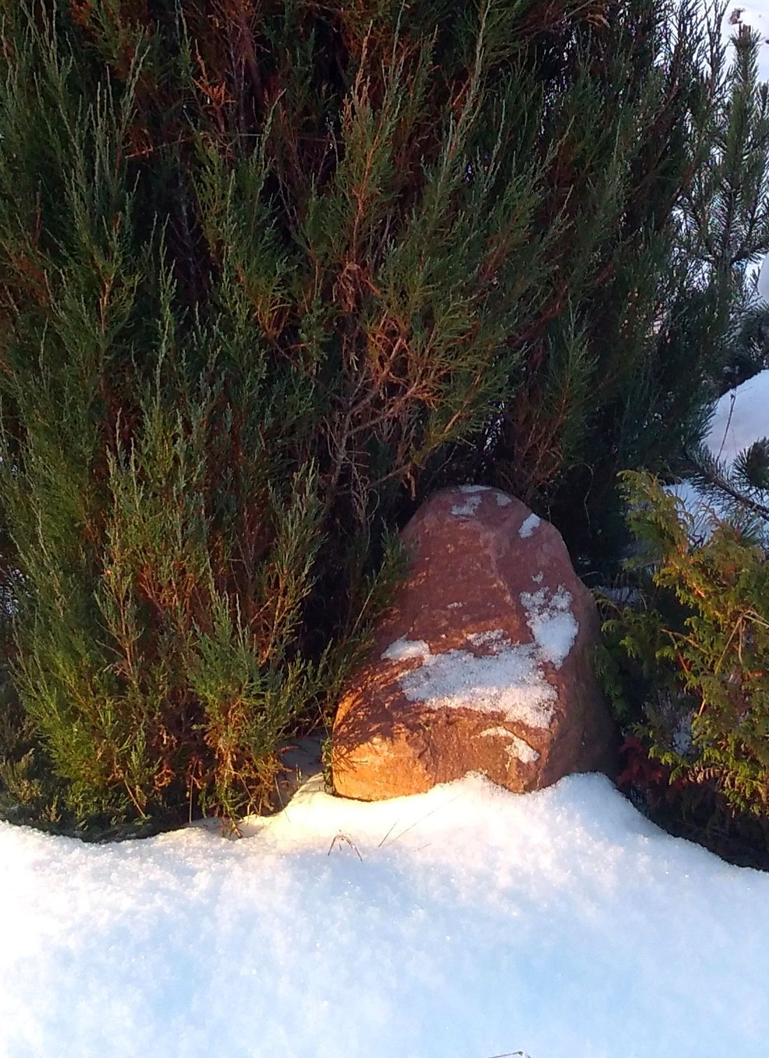 Причудливая графика (1).jpg Причудливая графика (1).jpg