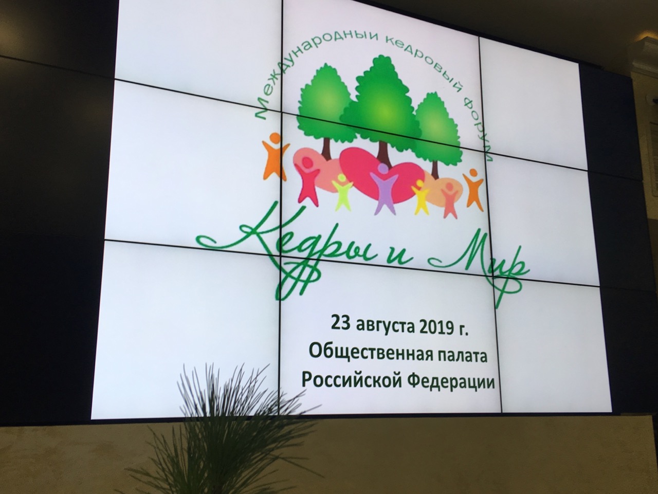 В Москве состоялся Международный кедровый форум «Кедры и мир» (1).jpg