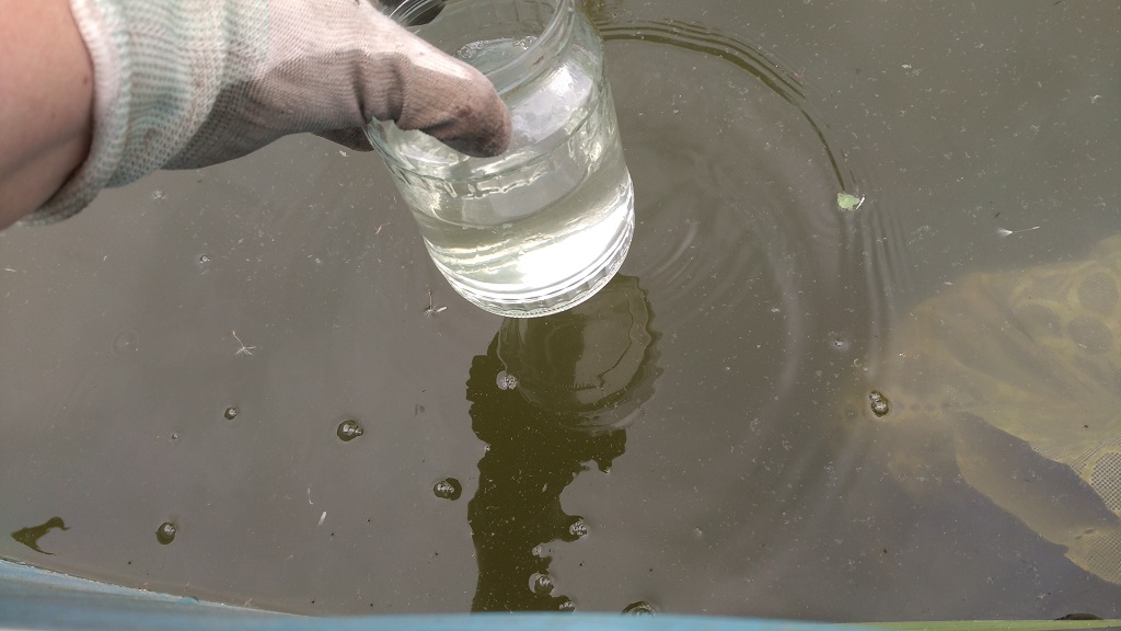 Отмыть хлорку. Чистка воды. Вода с хлоркой. Вода очищенная известью. Очистка пруда хлоркой.