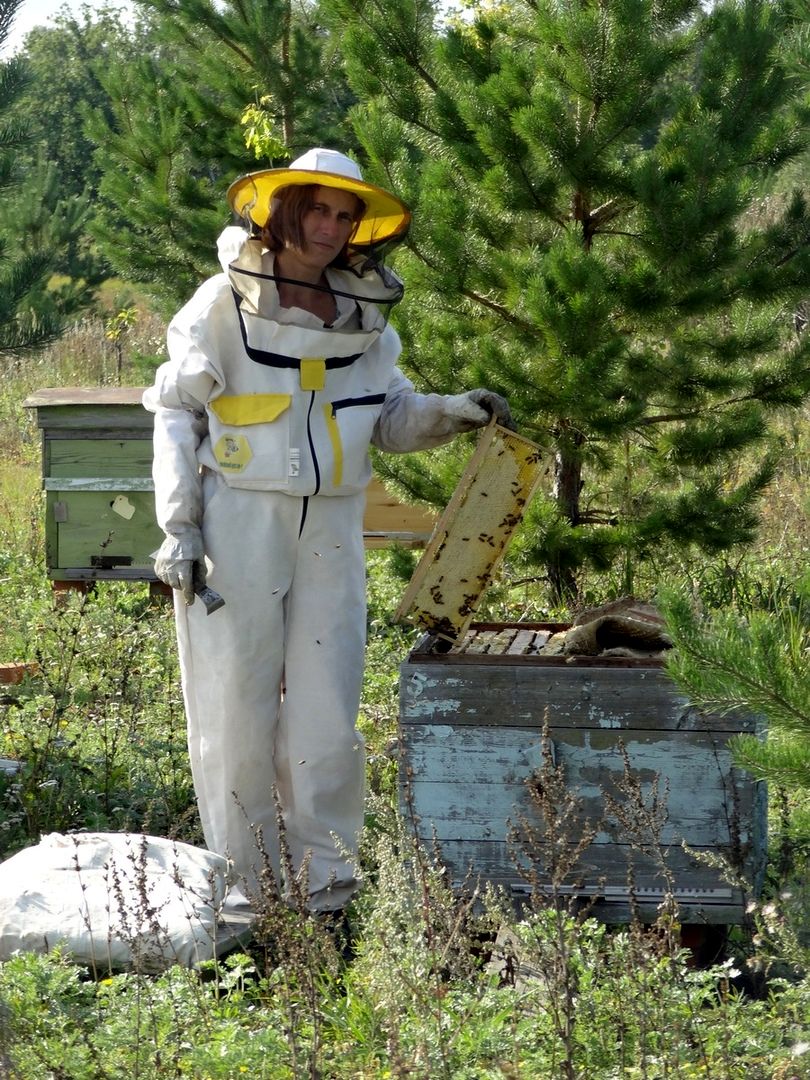 Гнездовой мёд в родовом поместье Любое (4).jpg